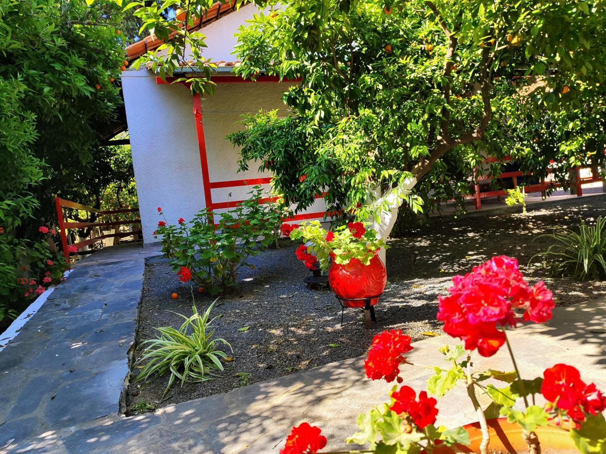 Cottonclub Villas Tolo Exterior photo